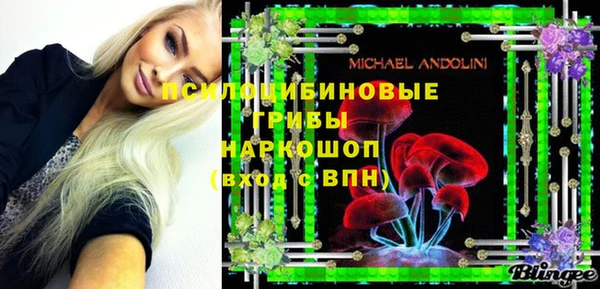 mdpv Великий Новгород