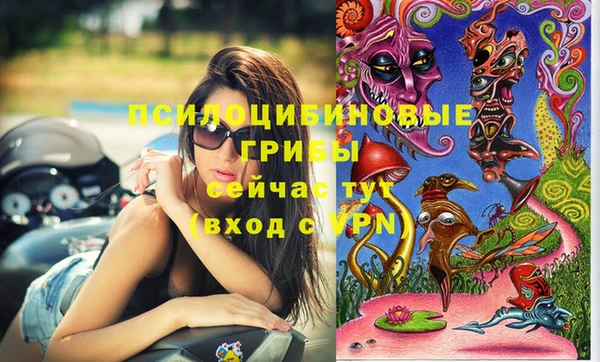 гашишное масло Краснослободск