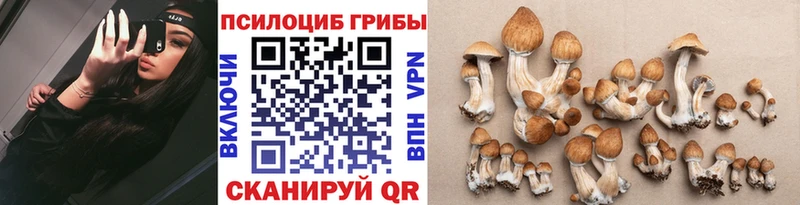 Псилоцибиновые грибы MAGIC MUSHROOMS  Ирбит 
