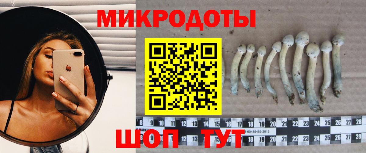 Галлюциногенные грибы прущие грибы  Вход с VPN  Псилоцибиновые грибы MAGIC MUSHROOMS  Ирбит 